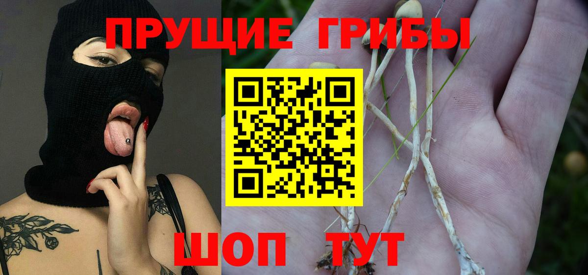 Галлюциногенные грибы Psilocybine cubensis  Вход с VPN  Елец  Галлюциногенные грибы MAGIC MUSHROOMS 
