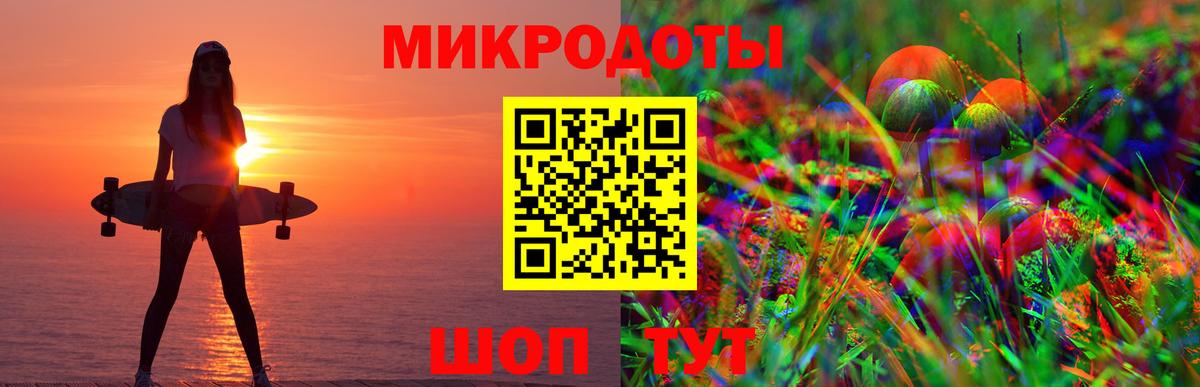Псилоцибиновые грибы Psilocybine cubensis Елец